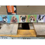 50 X MEASUREMENT RULERS, WITH 3D DOG PRINT (LOC: 29.1-JR1307)