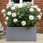 IDEALIST™ 65cm Trough Garden Planter, Grey Reinforced Stone Rectangular Planter, Outdoor Large Plant