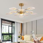 Boxed 10 - Light Sputnik LED Chandelier (LOC: SR6(7.4)-WO357)