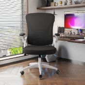 Boxed Ergonomic Mesh Office Chair (LOC: SR6.7.3-DE653 - 1P)