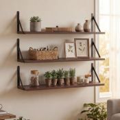 Boxed Williston Forge Solid Wood,Paulownia Wood, Iron Floating Shelf (LOC: SR6.7.5-DE624 - 1LP)
