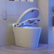 Boxed Homary Smart Toilet with Built-in Bidet, Auto Open/Close Lid Heated Seat Warm-Air Dry &