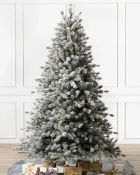 (BH The World's Leading Christmas Tree Manufacturer) Boxed Frosted Sugar Pine Christmas Tree 6ft