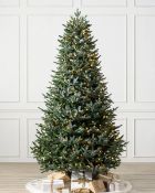 (BH The World's Leading Christmas Tree Manufacturer) Boxed European Silver Fir Christmas Tree 5ft