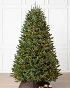 (BH The World's Leading Christmas Tree Manufacturer) Boxed BH Fraser Fir Christmas Tree Flip 7.5ft