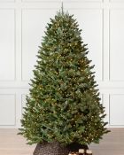 (BH The World's Leading Christmas Tree Manufacturer) Boxed BH Fraser Fir Christmas Tree 7.5ft with