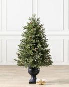 (BH The World's Leading Christmas Tree Manufacturer) Boxed Wimbledon Park Potted Artificial