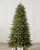 (BH The World's Leading Christmas Tree Manufacturer) Boxed Grandview Fir Christmas Tree 5ft with LED