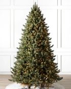 (BH The World's Leading Christmas Tree Manufacturer) Boxed Vermont White Spruce® Christmas Tree Flip