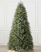 (BH The World's Leading Christmas Tree Manufacturer) Boxed Royal Blue Spruce® Christmas Tree 5ft