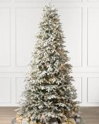 (BH The World's Leading Christmas Tree Manufacturer) Boxed Frosted BH Fraser Fir Christmas Tree 5.