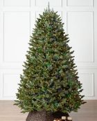 (BH The World's Leading Christmas Tree Manufacturer) Boxed BH Fraser Fir Christmas Tree 7.5ft with