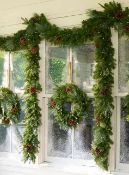 (BH The World's Leading Christmas Tree Manufacturer) Boxed Outdoor Mixed Evergreen Foliage