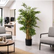 Boxed Faux Bamboo and Foliage Plant in Plastic Pot Liner (LOC: SR6.8.3-QA9168 - 1LP)