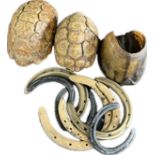 Vintage Horses hoof, shoes, 2 tortoise shells