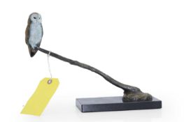 David Cemmick (b.1955) A bronze barn owl perched on a long branch