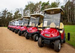 A round of golf for four,