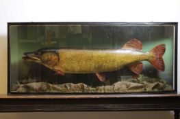 John Cooper and Sons, 20th century,