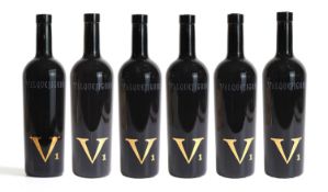 Valquejigoso V1, 2008