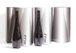 Leo Hillinger, Icon Hill, 2009