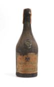 Cognac - Grande Fine Champagne - Napoleon XO - 50 years old