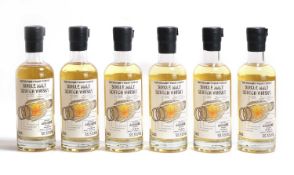 Ardmore - 10 years old