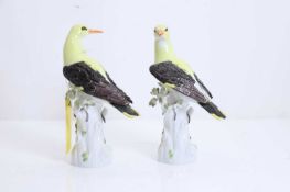 A pair of Meissen birds, 20th century,