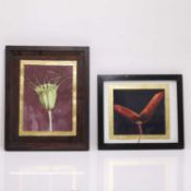 Jane Furst (British/South African, b.1944)