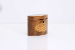An oval mahogany tea caddy,