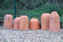 Six Teracotta rhubarb forcers 19th to 20th century, English