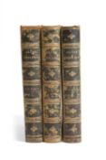 Morris, FO: A Natural History of the Nests and Eggs of British Birds, in 3 Volumes.
