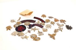 An extensive collection of Military cap badges,