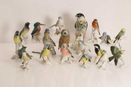 A Collection of 18 Continental porcelain figures of birds, of recent manufacture,