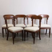 A set of six William IV mahogany dining chairs, 19th century second quarter,