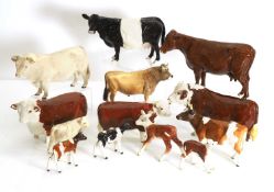 A collection of Beswick cows and calves,