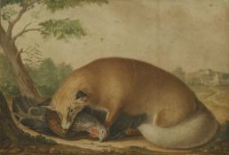 Jean-Baptiste Adanson (French, 1732-1804) 'Renard d'Afrique Mangeant un Chapon'