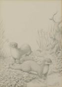 ▲ Peter David Scott (British, 20th century) A pair of otters