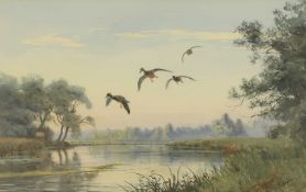 ▲ John Cyril Harrison (British, 1898-1985) Mallard alighting on the Test