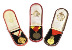 Three Austro-Hungarian medals, a Military Merit Medal 'Signum Laudis', a 1908 Jubilee Cross and a Bo