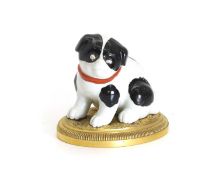A Japanese Hirado dog,