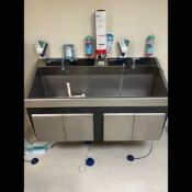 STERIS FLEXMATIC DUAL SCRUB SINK (QTY 1)
