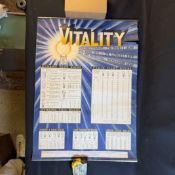 Vitality Bulbs Retail Advertising Display Chart