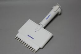 EPPENDORF MULTI CHANNEL PIPETTE