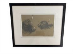Richard Beavis RWS (British, 1824-1896), Studies of Highland cattle