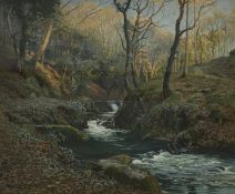 Thomas Ellison (British, 1866-1940), Waterfall