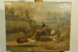 Jef louis van Leemputten; "landschap met pluimvee"