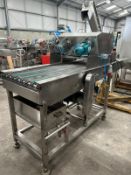 SPINNING DISC CONVEYOR