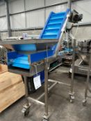 SWAN NECK CONVEYOR