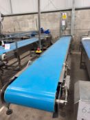 SANDWICH CONVEYOR