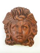 Head of Medusa